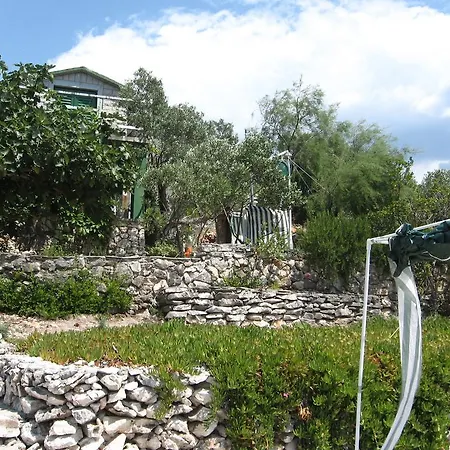 Robinson House Ana Pašman