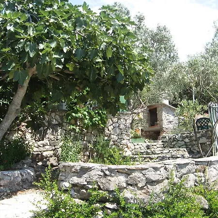 度假居 Robinson House Ana Pašman